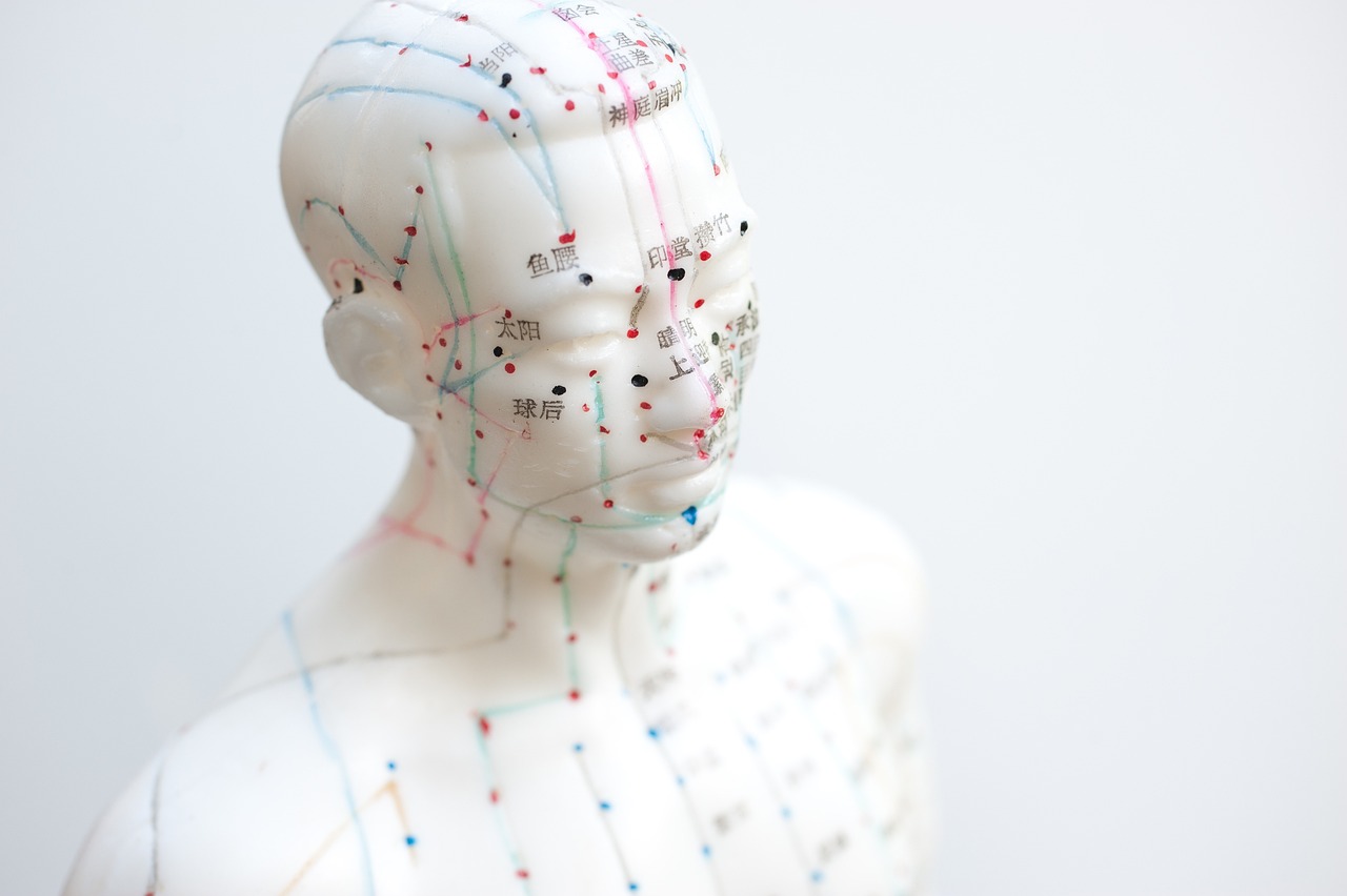 Acupuncture Image