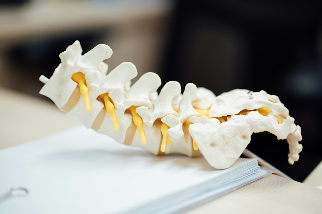 Osteopathy Image
